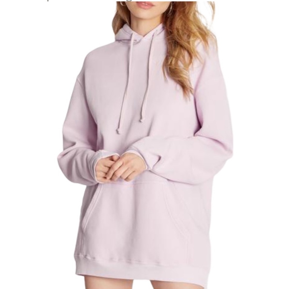 ⭐️Wildfox Colin Hoodie in Wispy sweatshirt nwt size small